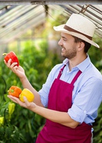 La culture des fruits et légumes sous serre